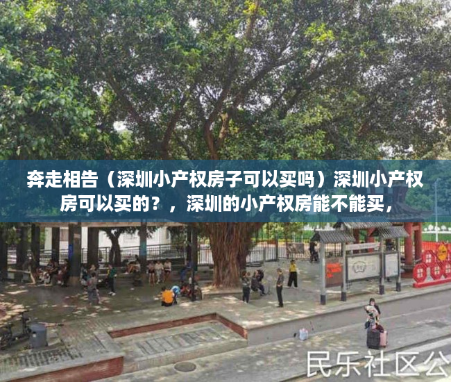 奔走相告（深圳小产权房子可以买吗）深圳小产权房可以买的？，深圳的小产权房能不能买，