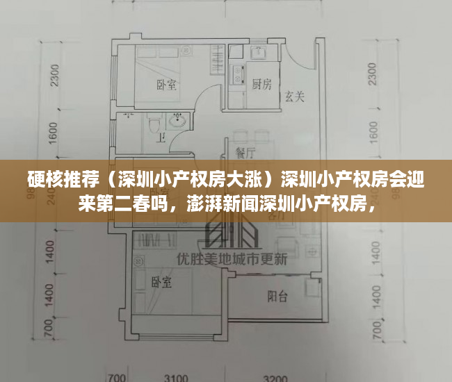 硬核推荐（深圳小产权房大涨）深圳小产权房会迎来第二春吗，澎湃新闻深圳小产权房，