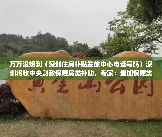 万万没想到（深圳住房补贴发放中心电话号码）深圳将收中央财政保障房类补助，专家：增加保障类住房比开征房地产税更为切实，深圳住房补贴发放中心电话是多少，