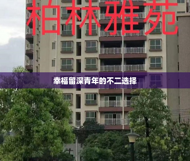 幸福留深青年的不二选择