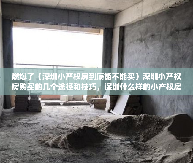 燃爆了（深圳小产权房到底能不能买）深圳小产权房购买的几个途径和技巧，深圳什么样的小产权房可以买，