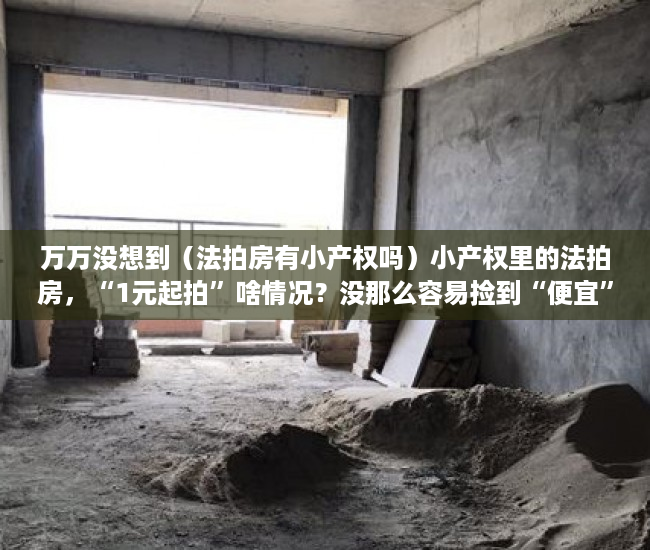 万万没想到（法拍房有小产权吗）小产权里的法拍房，“1元起拍”啥情况？没那么容易捡到“便宜”，法拍房1元起拍买得到吗，