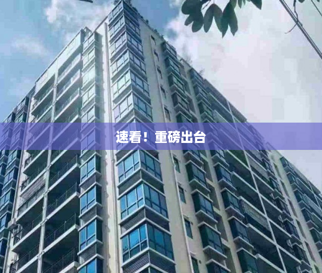 速看！重磅出台