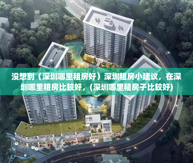 没想到（深圳哪里租房好）深圳租房小建议，在深圳哪里租房比较好，(深圳哪里租房子比较好)