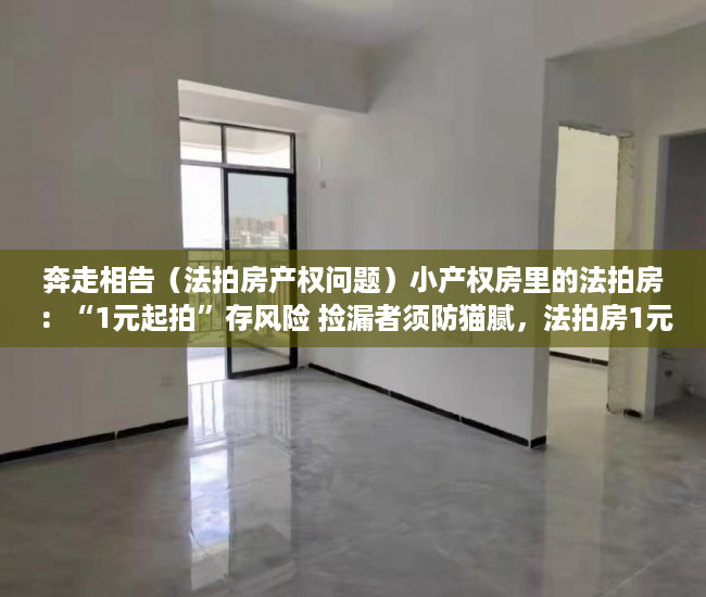 奔走相告（法拍房产权问题）小产权房里的法拍房：“1元起拍”存风险 捡漏者须防猫腻，法拍房1元起拍怎么回事，