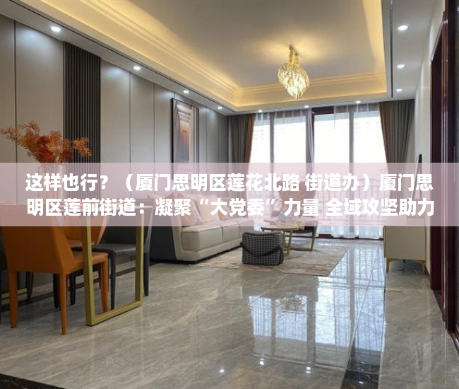 这样也行？（厦门思明区莲花北路 街道办）厦门思明区莲前街道：凝聚“大党委”力量 全域攻坚助力基层治理，厦门思明区莲前社区，