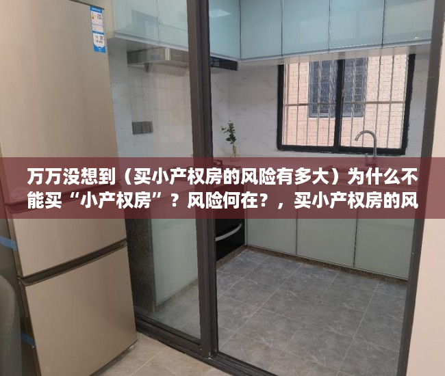 万万没想到（买小产权房的风险有多大）为什么不能买“小产权房”？风险何在？，买小产权房的风险大吗，