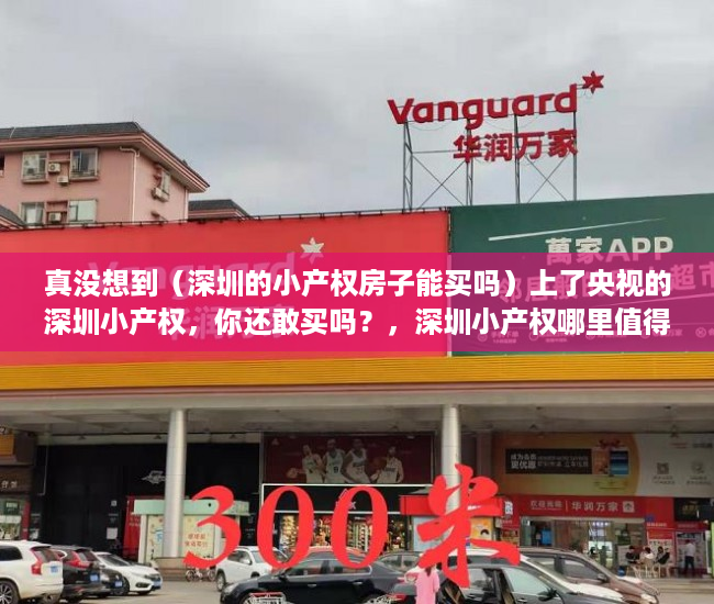 真没想到（深圳的小产权房子能买吗）上了央视的深圳小产权，你还敢买吗？，深圳小产权哪里值得买，