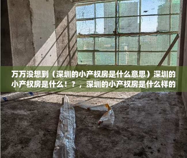 万万没想到（深圳的小产权房是什么意思）深圳的小产权房是什么！？，深圳的小产权房是什么样的，