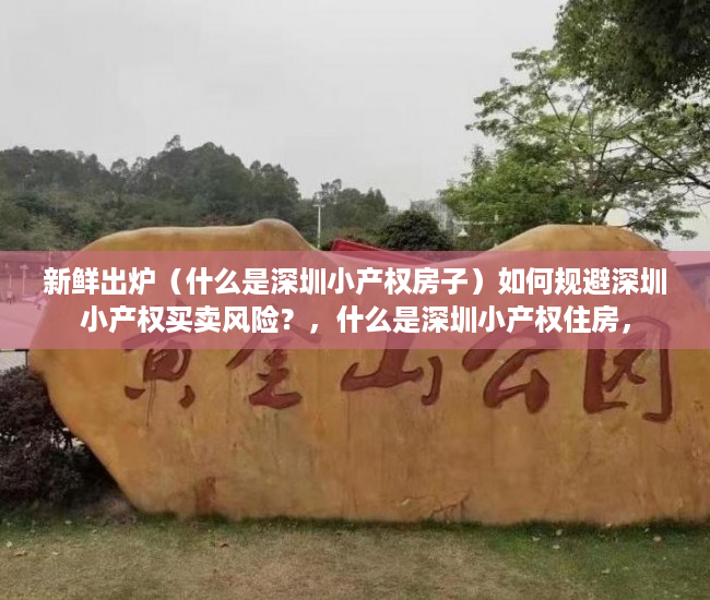 新鲜出炉（什么是深圳小产权房子）如何规避深圳小产权买卖风险？，什么是深圳小产权住房，