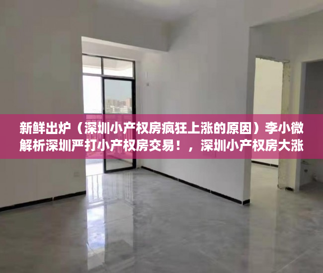 新鲜出炉（深圳小产权房疯狂上涨的原因）李小微解析深圳严打小产权房交易！，深圳小产权房大涨，