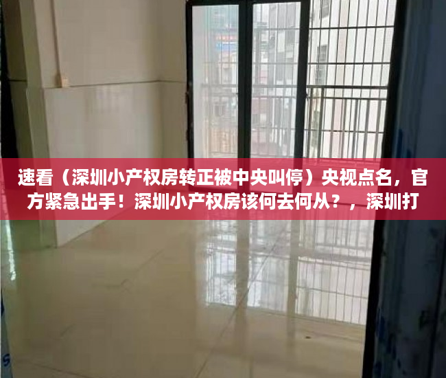 速看（深圳小产权房转正被中央叫停）央视点名，官方紧急出手！深圳小产权房该何去何从？，深圳打压小产权房，