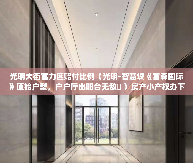 光明大街富力区赔付比例（光明-智慧城《富森国际》原始户型，户户厅出阳台无敌釆 ）房产小产权办下来需要多久，