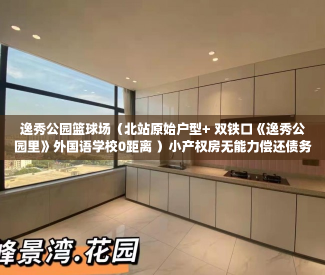 逸秀公园篮球场（北站原始户型+ 双铁口《逸秀公园里》外国语学校0距离 ）小产权房无能力偿还债务怎么办，