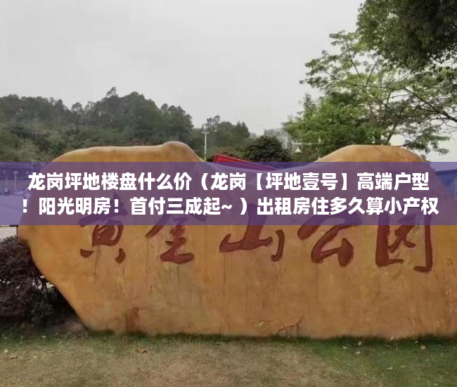 龙岗坪地楼盘什么价（龙岗【坪地壹号】高端户型！阳光明房！首付三成起~ ）出租房住多久算小产权房，