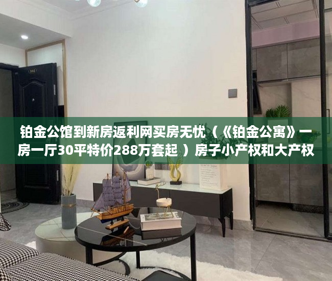 铂金公馆到新房返利网买房无忧（《铂金公寓》一房一厅30平特价288万套起 ）房子小产权和大产权多久，