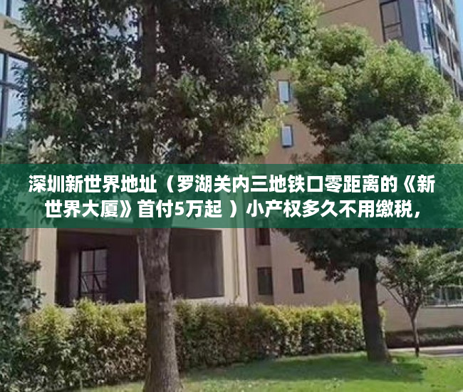 深圳新世界地址（罗湖关内三地铁口零距离的《新世界大厦》首付5万起 ）小产权多久不用缴税，