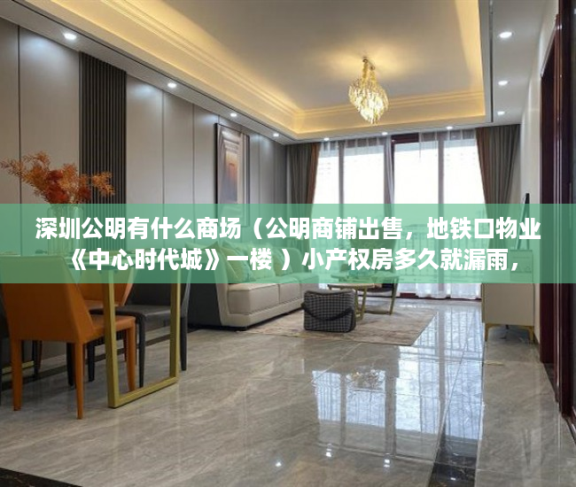 深圳公明有什么商场（公明商铺出售，地铁口物业《中心时代城》一楼 ）小产权房多久就漏雨，