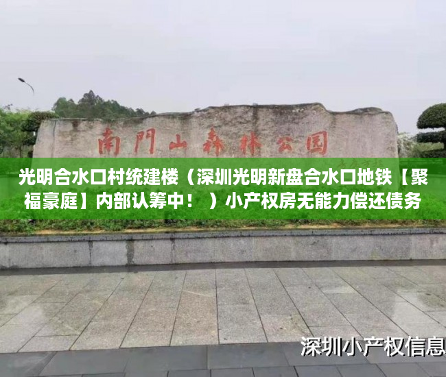 光明合水口村统建楼（深圳光明新盘合水口地铁【聚福豪庭】内部认筹中！ ）小产权房无能力偿还债务怎么办，