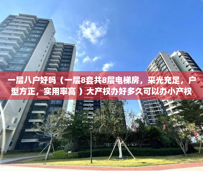 一层八户好吗（一层8套共8层电梯房，采光充足，户型方正，实用率高 ）大产权办好多久可以办小产权，