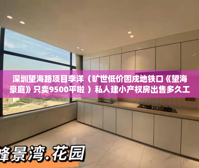 深圳望海路项目李洋（旷世低价固戍地铁口《望海豪庭》只卖9500平啦 ）私人建小产权房出售多久工资，