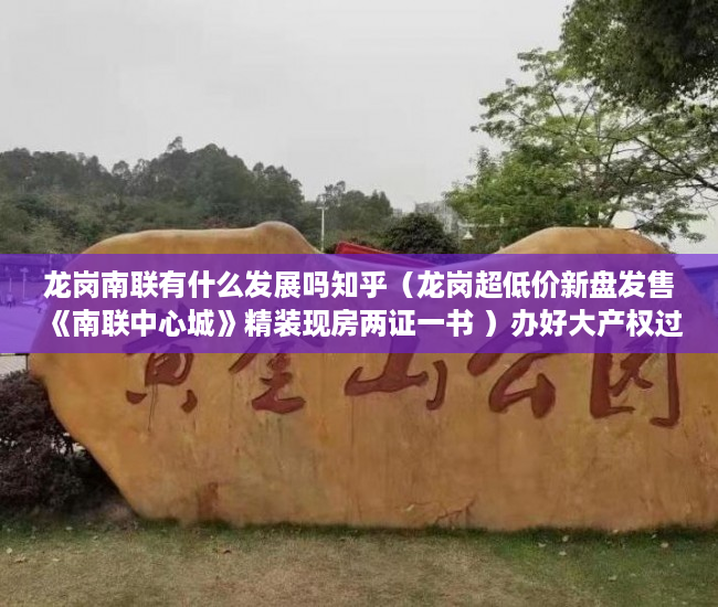 龙岗南联有什么发展吗知乎（龙岗超低价新盘发售《南联中心城》精装现房两证一书 ）办好大产权过多久能办小产权，