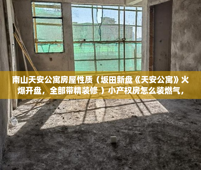 南山天安公寓房屋性质（坂田新盘《天安公寓》火爆开盘，全部带精装修 ）小产权房怎么装燃气，