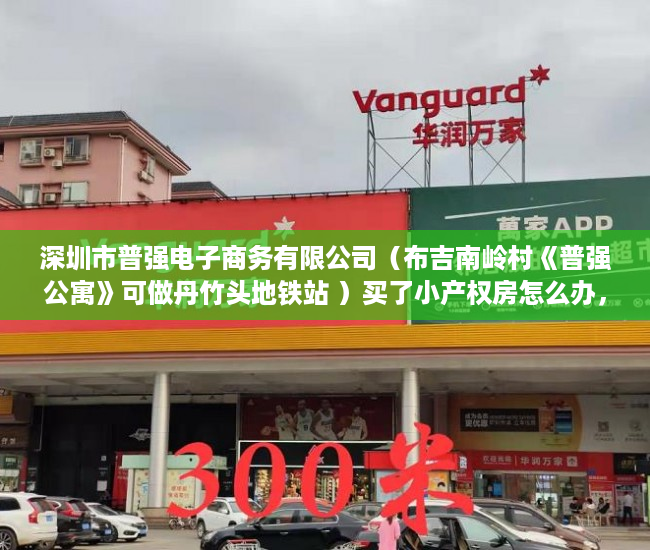 深圳市普强电子商务有限公司（布吉南岭村《普强公寓》可做丹竹头地铁站 ）买了小产权房怎么办，