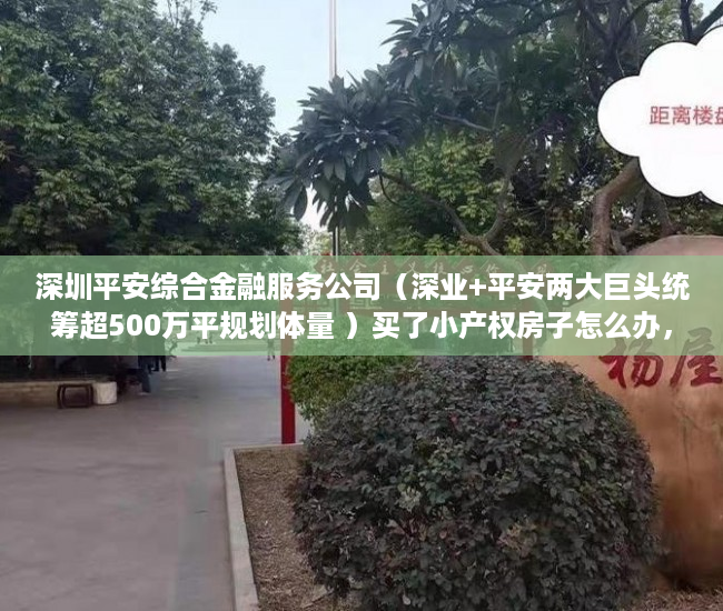 深圳平安综合金融服务公司（深业+平安两大巨头统筹超500万平规划体量 ）买了小产权房子怎么办，