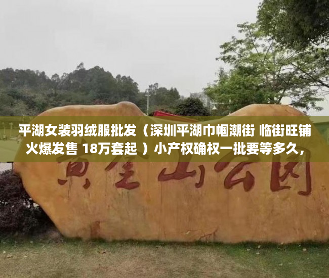 平湖女装羽绒服批发（深圳平湖巾帼潮街 临街旺铺火爆发售 18万套起 ）小产权确权一批要等多久，