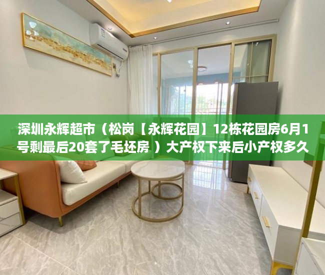 深圳永辉超市（松岗【永辉花园】12栋花园房6月1号剩最后20套了毛坯房 ）大产权下来后小产权多久可以办理，