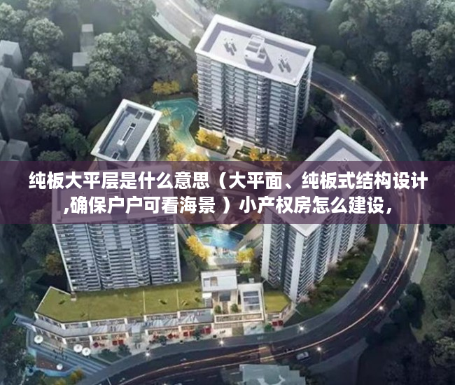 纯板大平层是什么意思（大平面、纯板式结构设计,确保户户可看海景 ）小产权房怎么建设，