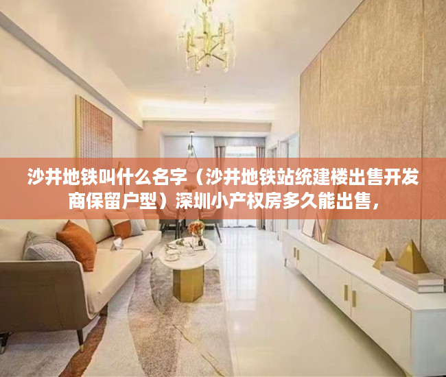 沙井地铁叫什么名字（沙井地铁站统建楼出售开发商保留户型）深圳小产权房多久能出售，