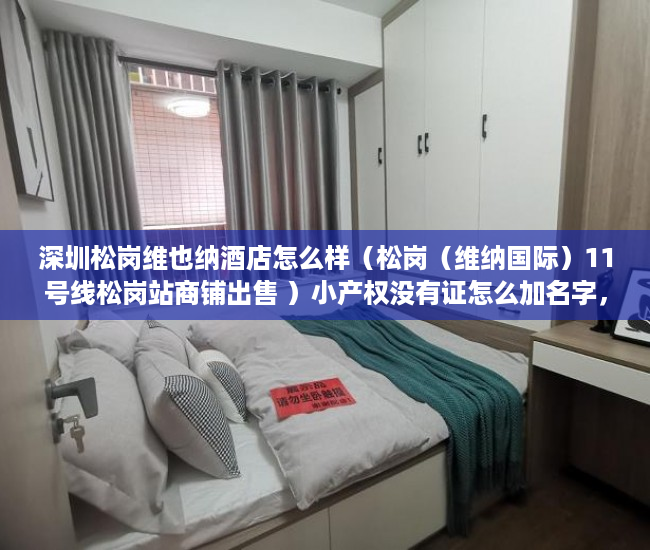 深圳松岗维也纳酒店怎么样（松岗（维纳国际）11号线松岗站商铺出售 ）小产权没有证怎么加名字，