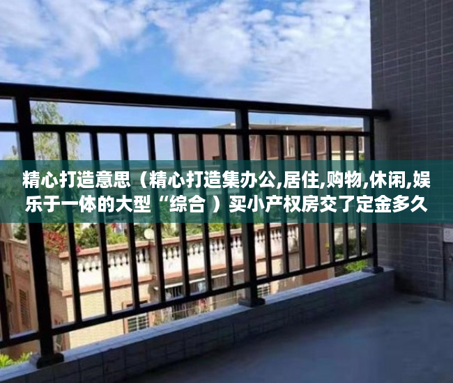 精心打造意思（精心打造集办公,居住,购物,休闲,娱乐于一体的大型“综合 ）买小产权房交了定金多久能拿到，
