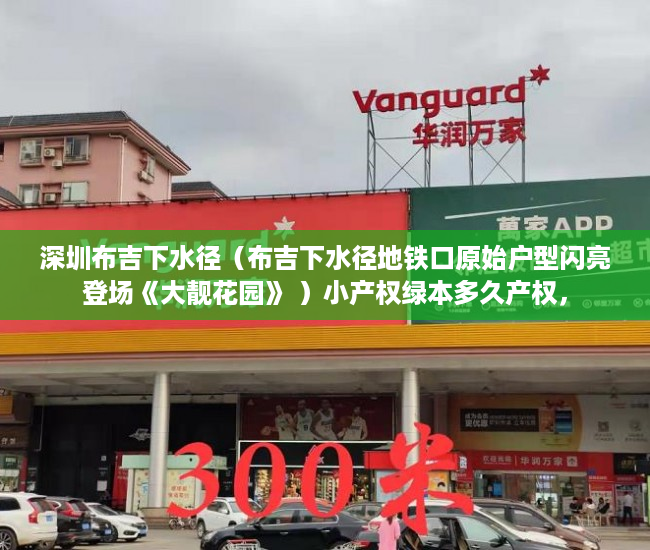 深圳布吉下水径（布吉下水径地铁口原始户型闪亮登场《大靓花园》 ）小产权绿本多久产权，