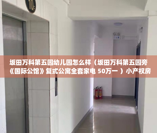 坂田万科第五园幼儿园怎么样（坂田万科第五园旁《国际公馆》复式公寓全套家电 50万一 ）小产权房能居住多久安全吗，