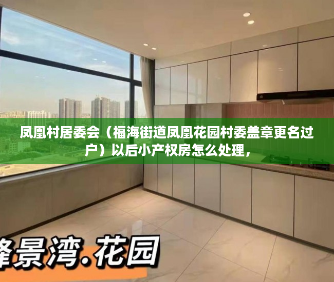 凤凰村居委会（福海街道凤凰花园村委盖章更名过户）以后小产权房怎么处理，