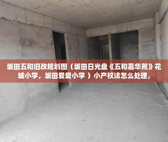 坂田五和旧改规划图（坂田日光盘《五和嘉华苑》花城小学，坂田爱爱小学 ）小产权该怎么处理，