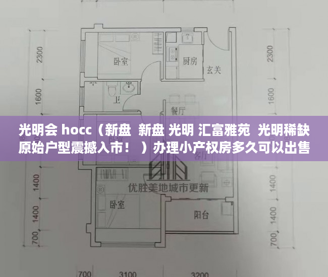 光明会 hocc（新盘  新盘 光明 汇富雅苑  光明稀缺原始户型震撼入市！ ）办理小产权房多久可以出售，