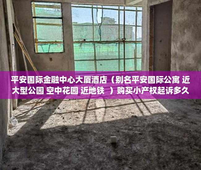 平安国际金融中心大厦酒店（别名平安国际公寓 近大型公园 空中花园 近地铁  ）购买小产权起诉多久能退款，