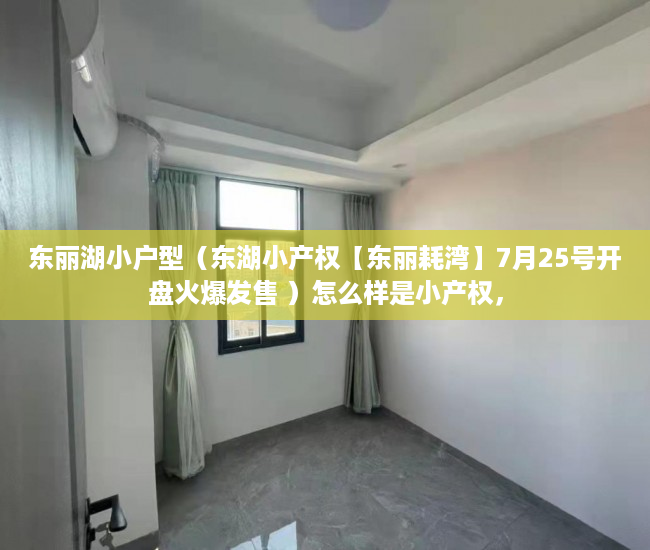 东丽湖小户型（东湖小产权【东丽耗湾】7月25号开盘火爆发售 ）怎么样是小产权，
