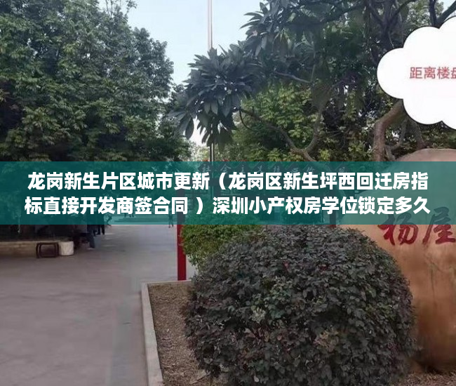 龙岗新生片区城市更新（龙岗区新生坪西回迁房指标直接开发商签合同 ）深圳小产权房学位锁定多久，