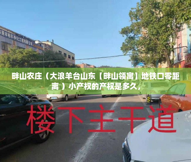 畔山农庄（大浪羊台山东【畔山领寓】地铁口零距离 ）小产权的产权是多久，