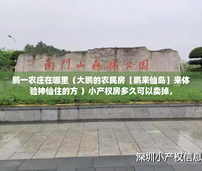 鹏一农庄在哪里（大鹏的农民房【鹏来仙岛】来体验神仙住的方 ）小产权房多久可以卖掉，