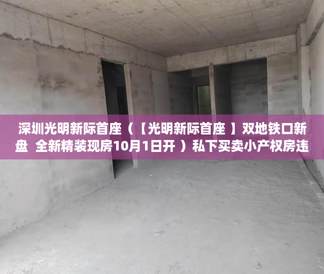 深圳光明新际首座（【光明新际首座 】双地铁口新盘  全新精装现房10月1日开 ）私下买卖小产权房违约了怎么办，