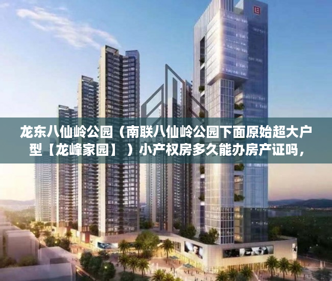 龙东八仙岭公园（南联八仙岭公园下面原始超大户型【龙峰家园】 ）小产权房多久能办房产证吗，