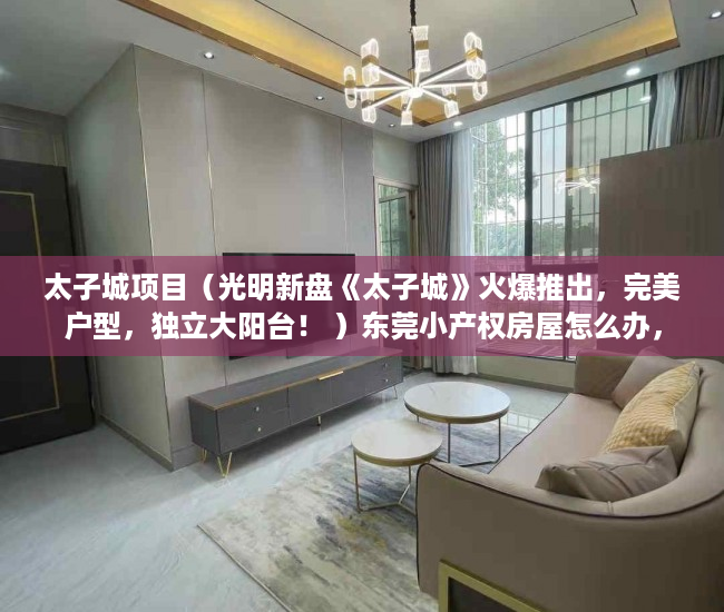太子城项目（光明新盘《太子城》火爆推出，完美户型，独立大阳台！ ）东莞小产权房屋怎么办，