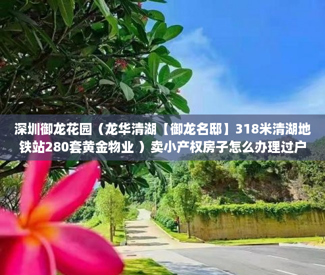 深圳御龙花园（龙华清湖【御龙名邸】318米清湖地铁站280套黄金物业 ）卖小产权房子怎么办理过户，