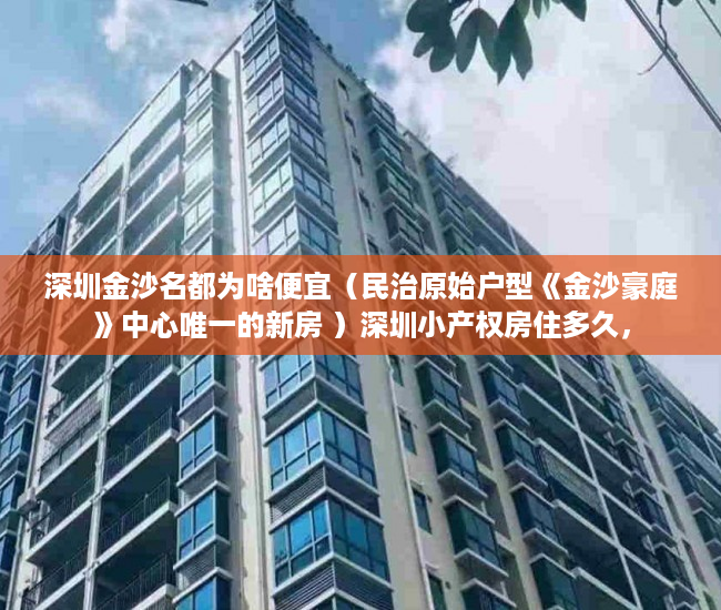 深圳金沙名都为啥便宜（民治原始户型《金沙豪庭》中心唯一的新房 ）深圳小产权房住多久，